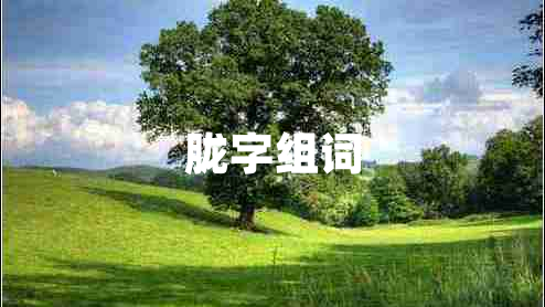 朧字組詞