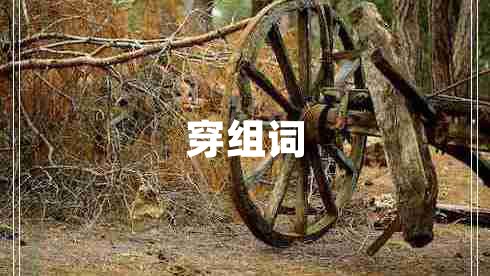 穿組詞