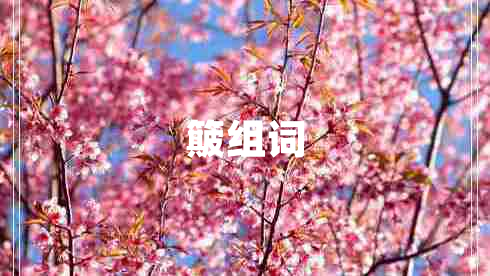 簸組詞