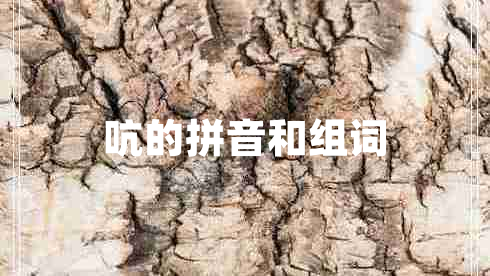 吭的拼音和組詞