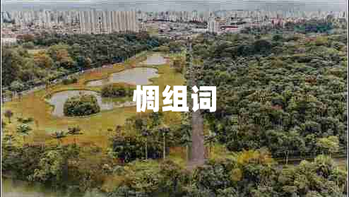 惆組詞