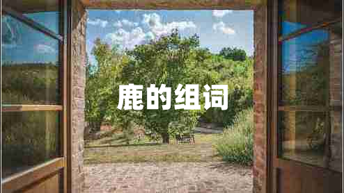 鹿的組詞