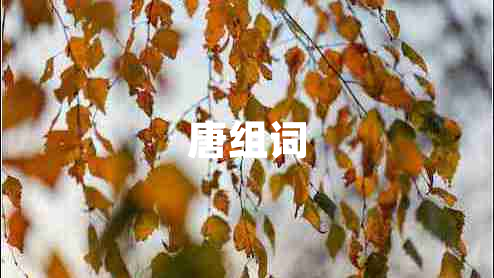 唐組詞
