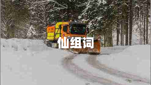 仙組詞