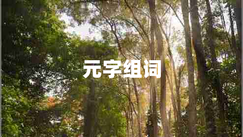 元字組詞
