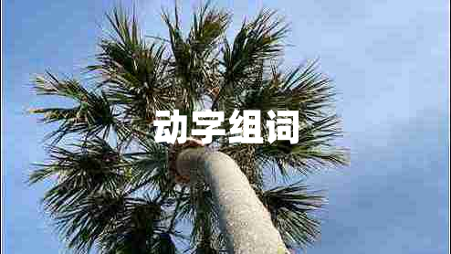 動(dòng)字組詞