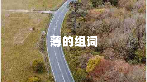 薄的組詞