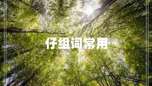 仔組詞常用
