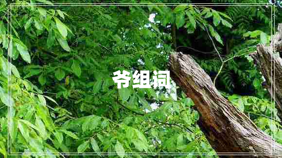 爺組詞