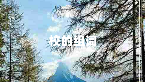 校的組詞