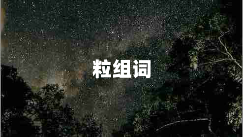 粒組詞