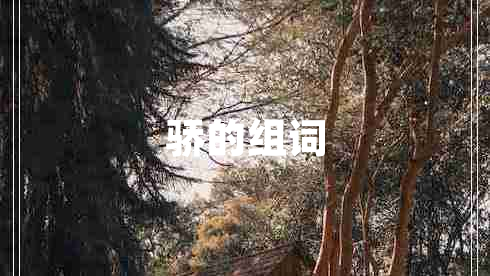 驕的組詞