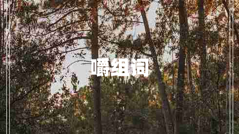 嚼組詞