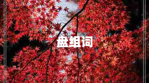 盤(pán)組詞