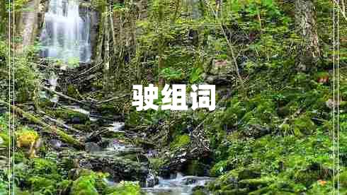 駛組詞