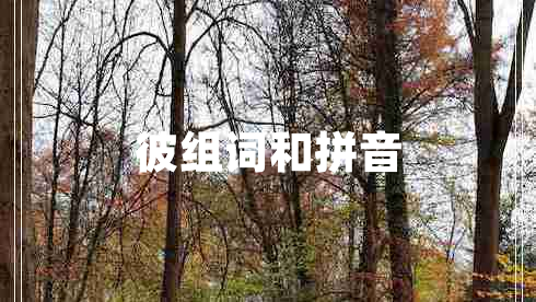 彼組詞和拼音