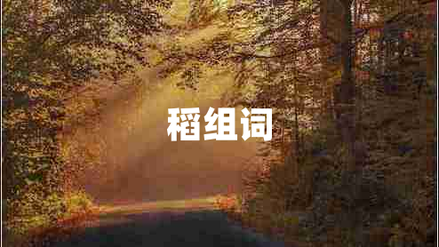 稻組詞