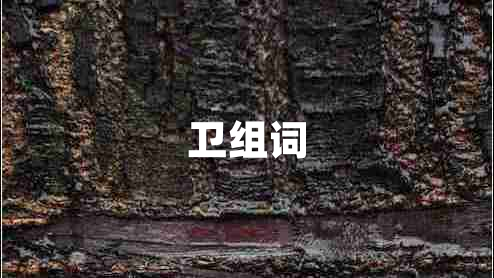 衛組詞