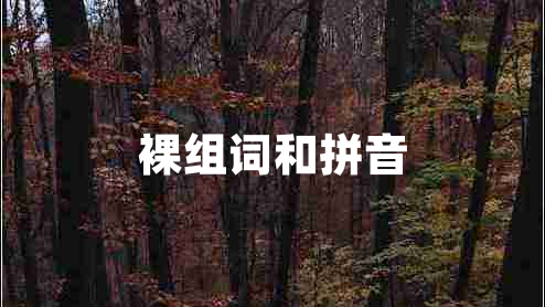 裸組詞和拼音