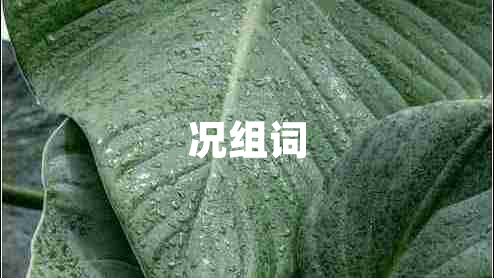 況組詞