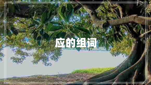 應的組詞