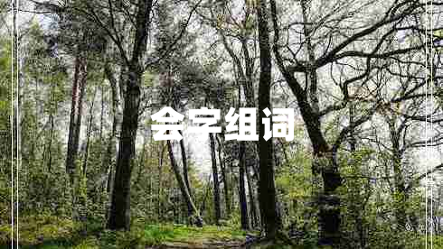 會(huì )字組詞