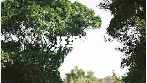 環(huán)組詞