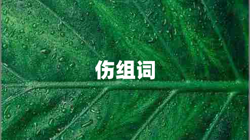 傷組詞