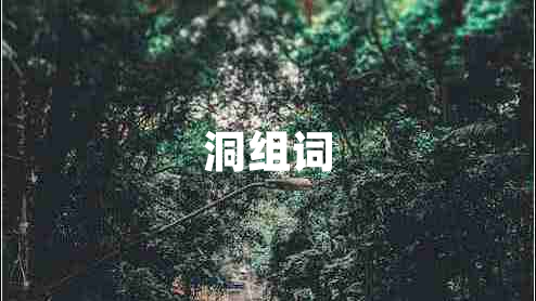 洞組詞