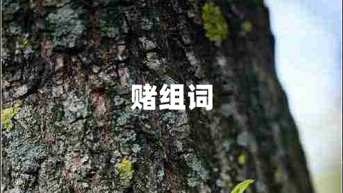 賭組詞