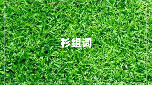 杉組詞
