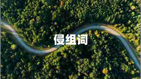 侵組詞