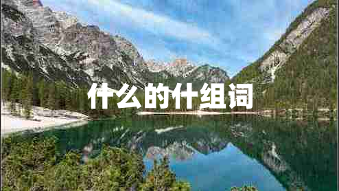 什么的什組詞
