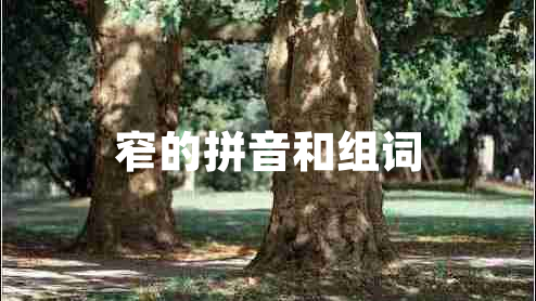 窄的拼音和組詞