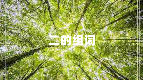 二的組詞