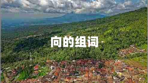 向的組詞