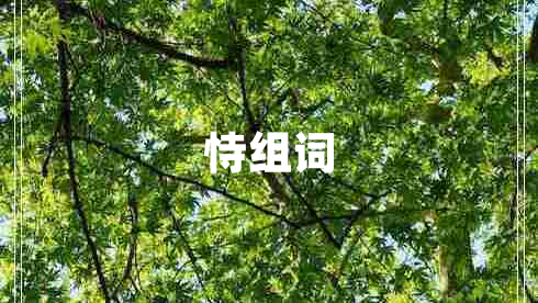 恃組詞