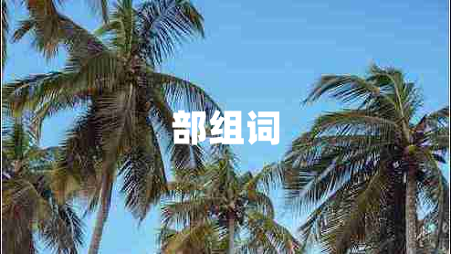 部組詞