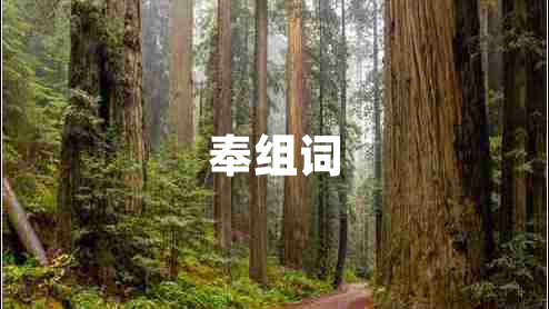 奉組詞