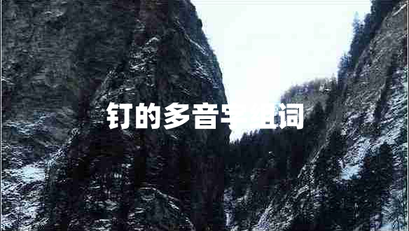 釘的多音字組詞