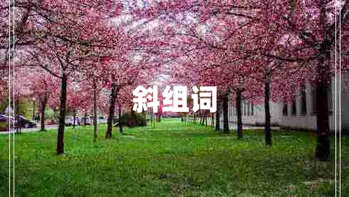 斜組詞