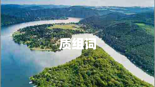 質(zhì)組詞