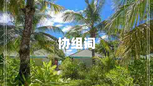 協(xié)組詞