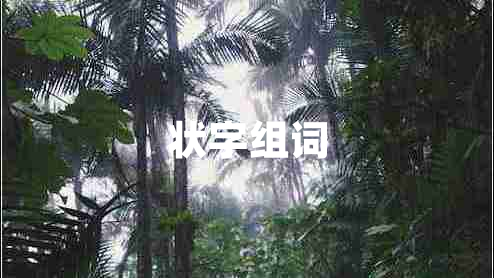 狀字組詞