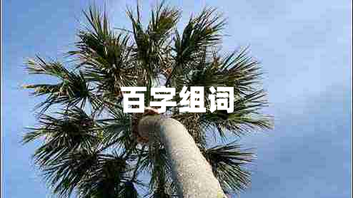 百字組詞