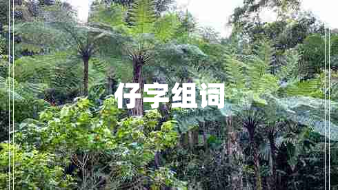 仔字組詞