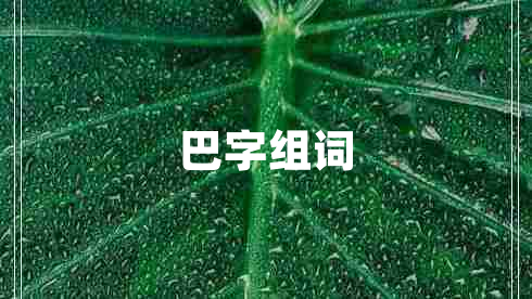 巴字組詞