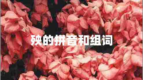殃的拼音和組詞