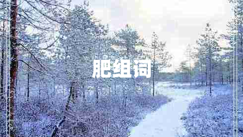 肥組詞