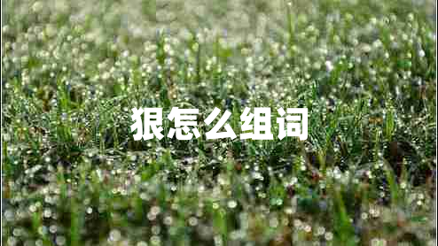 狠怎么組詞